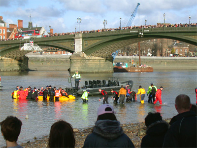 Panoramic crowd viewing stricken whale
